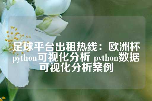 足球平台出租热线：欧洲杯python可视化分析 python数据可视化分析案例