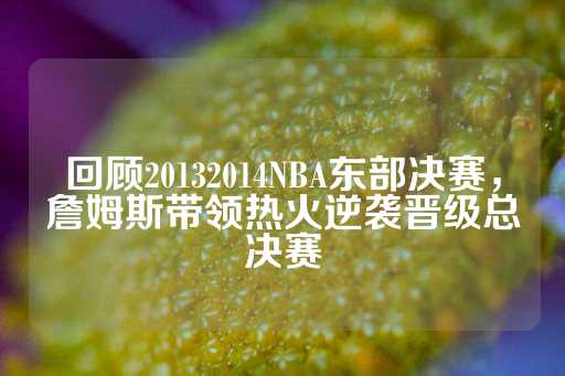 回顾20132014NBA东部决赛，詹姆斯带领热火逆袭晋级总决赛