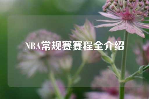 NBA常规赛赛程全介绍