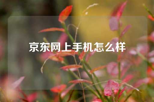 京东网上手机怎么样